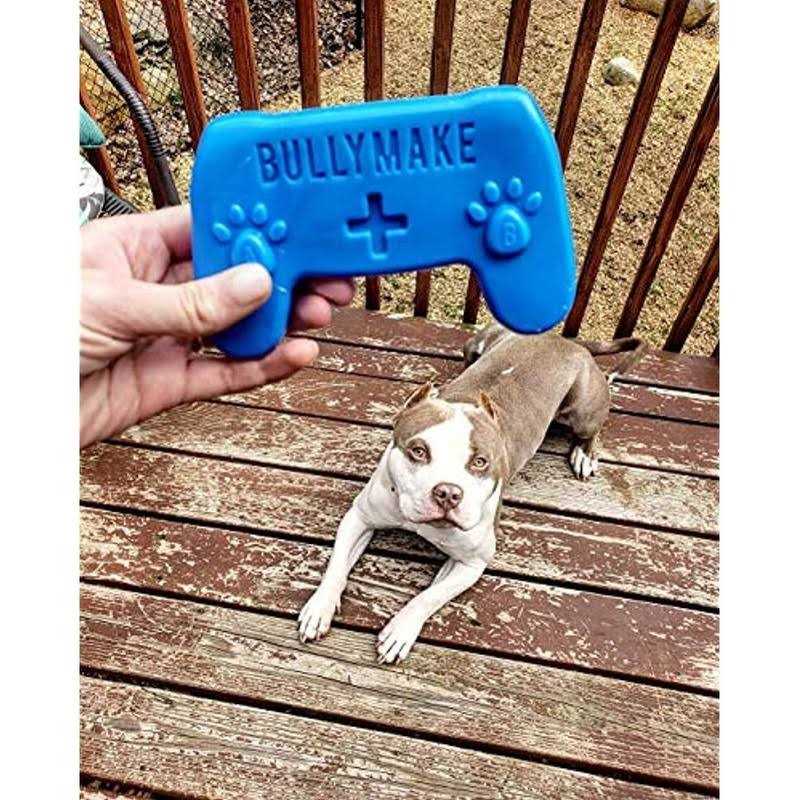 Controller Dog Toy N675218