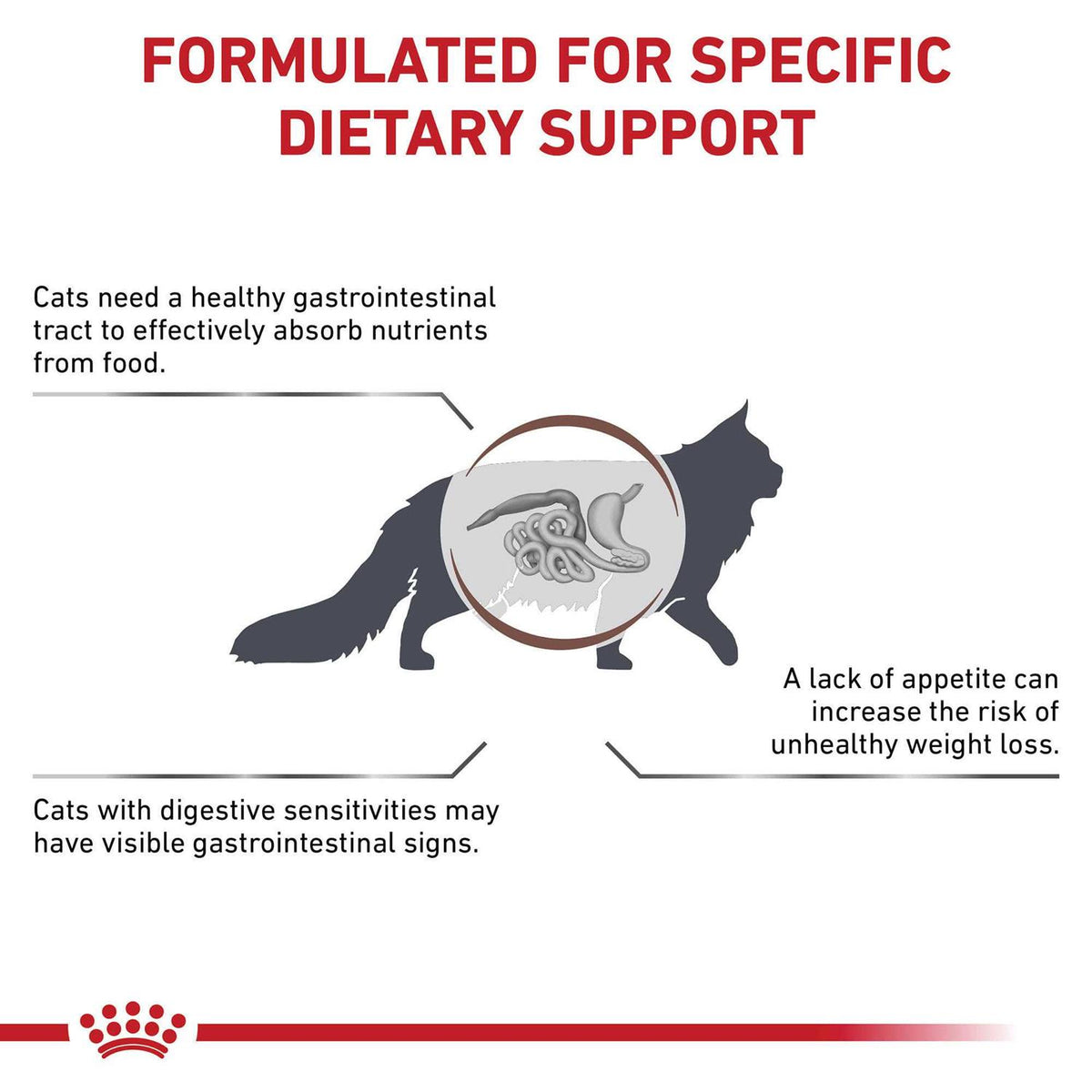 Veterinary Diet Feline Gastrointestinal Dry Cat Food Z86072