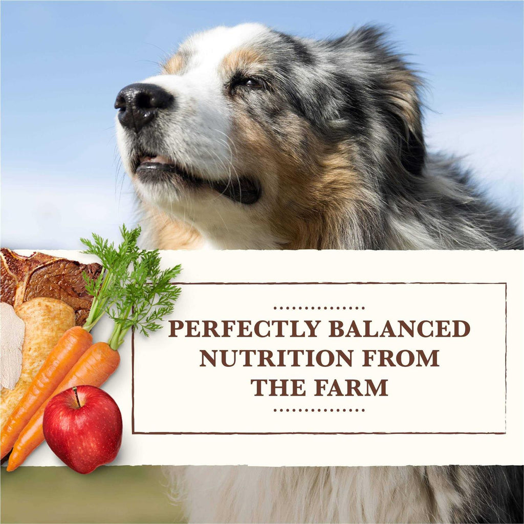 Grain Free Wet Dog Food Chicken Turkey F953038