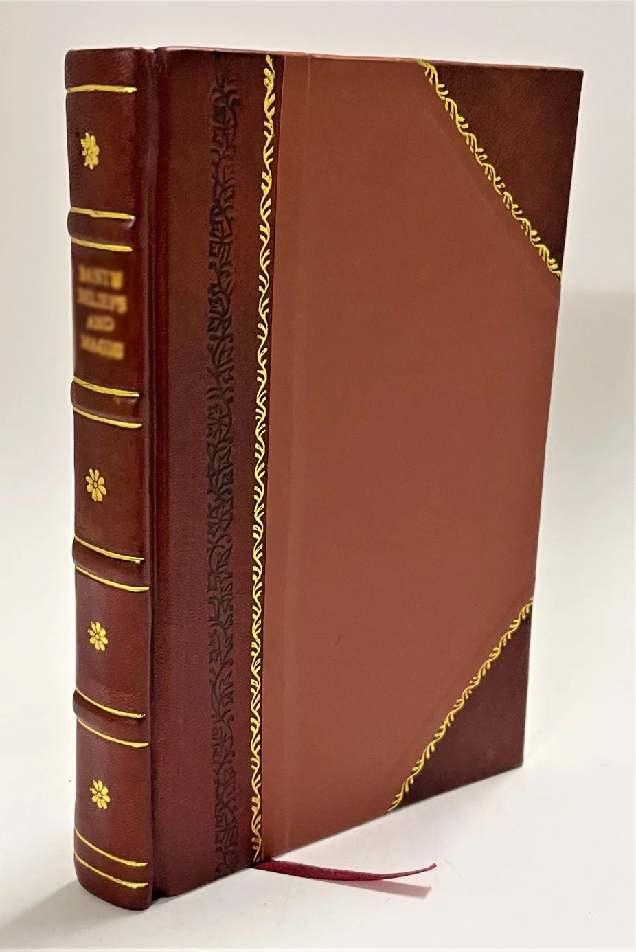 Leather Bound Book I296