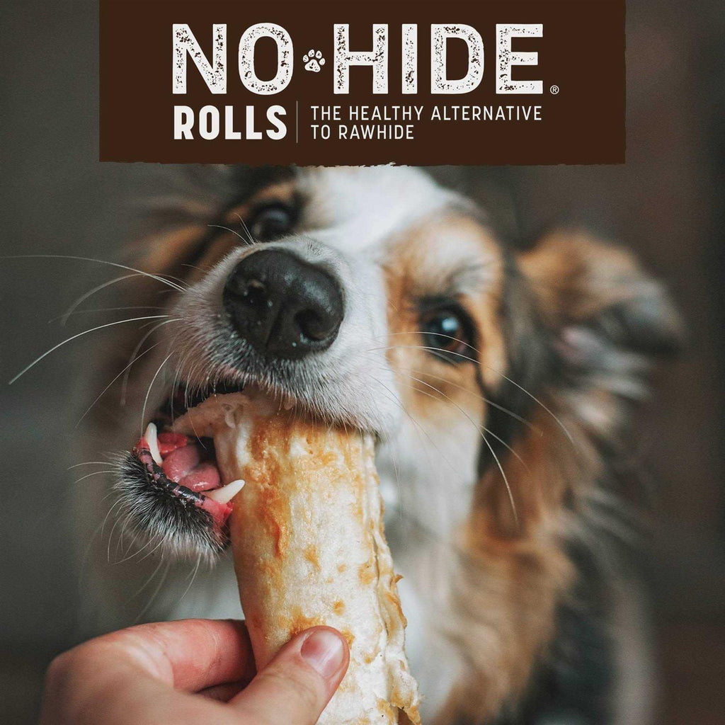 Dog No Hide Salmon J3895