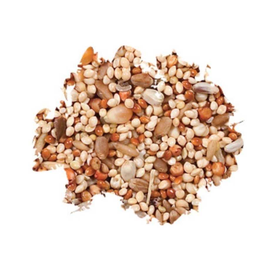 Dove Quail Food T87472