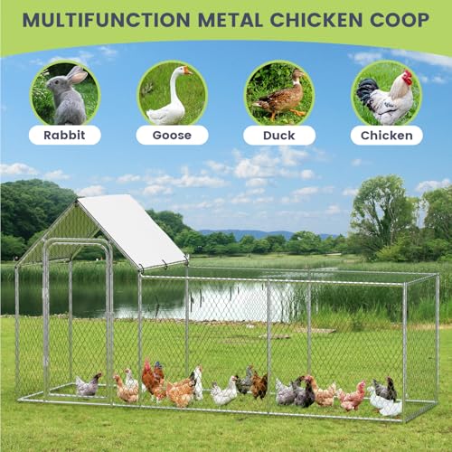 Large Metal Chicken Coop with Waterproof and Anti-UV Cover, 10' W x 3.3' D x 5' H D75253