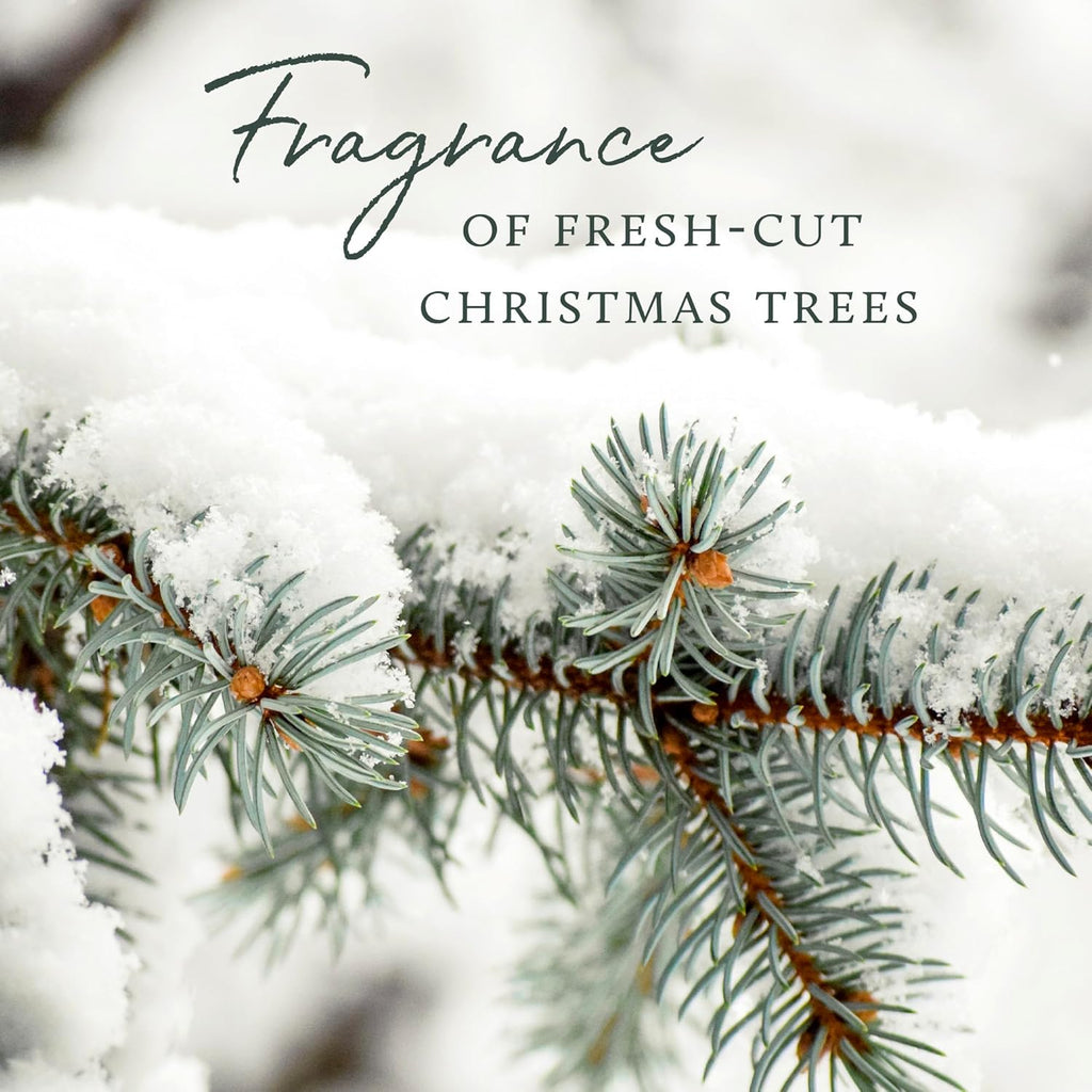 Pine Needle Gold Scented Candle (13 oz) Q6024
