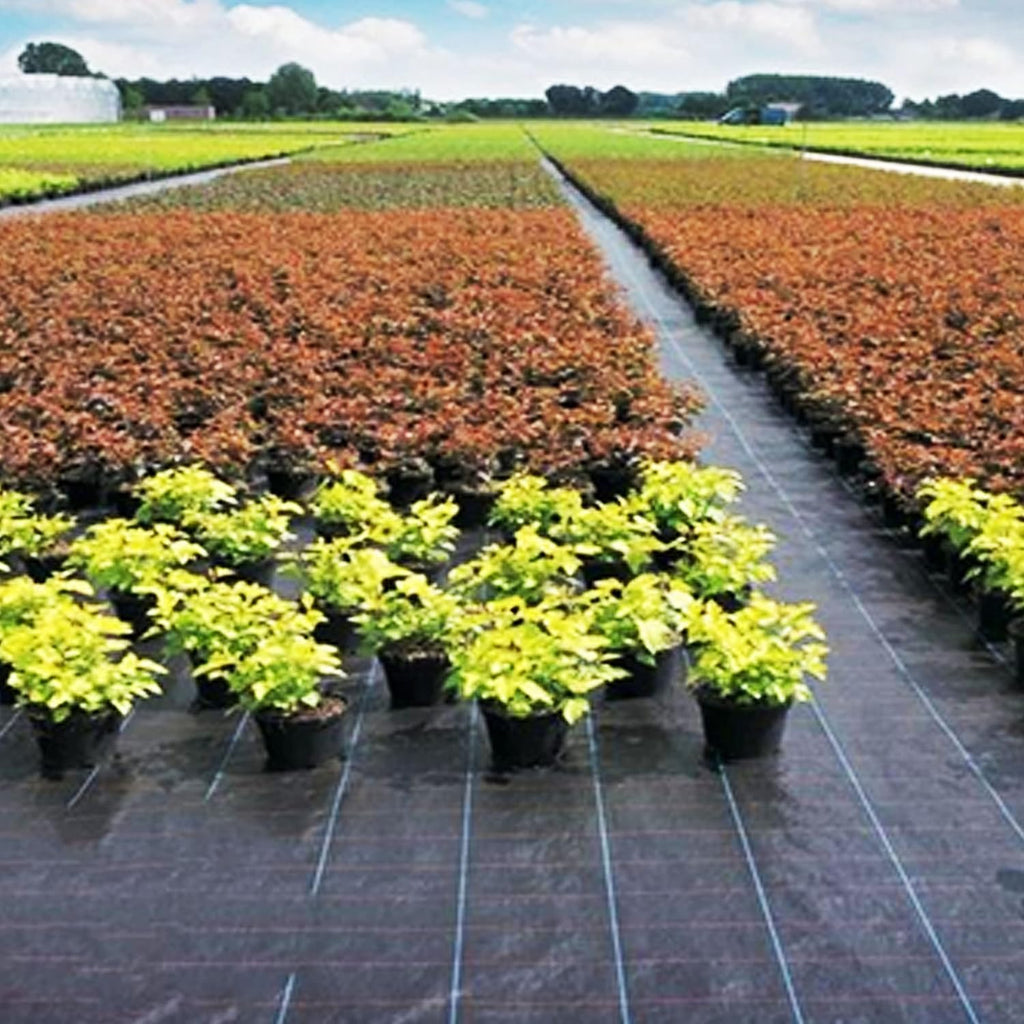 Heavy-Duty Weed Barrier Garden Fabric (3ft x 100ft) Z2686
