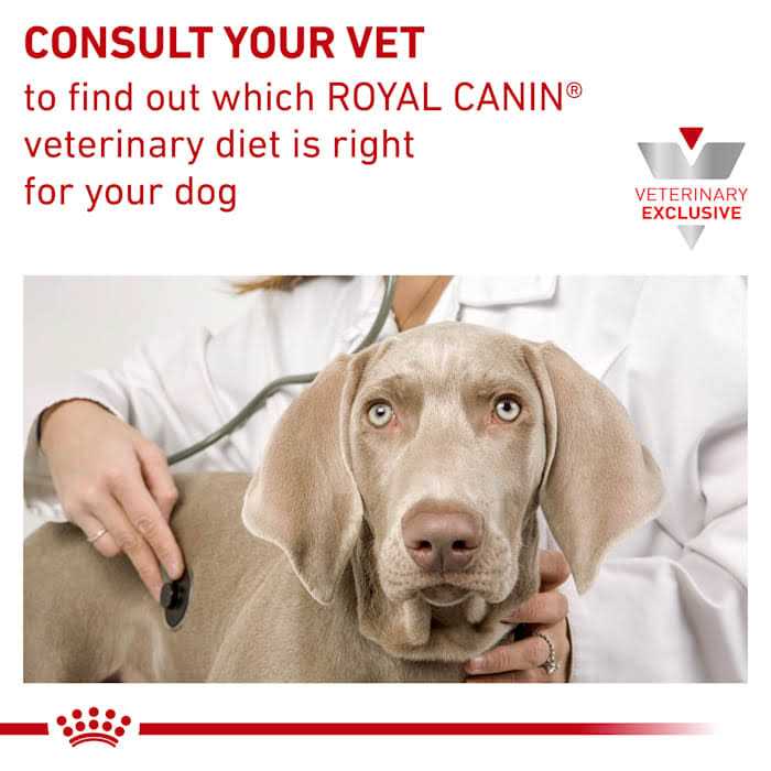 Gastrointestinal Canine Treats X968