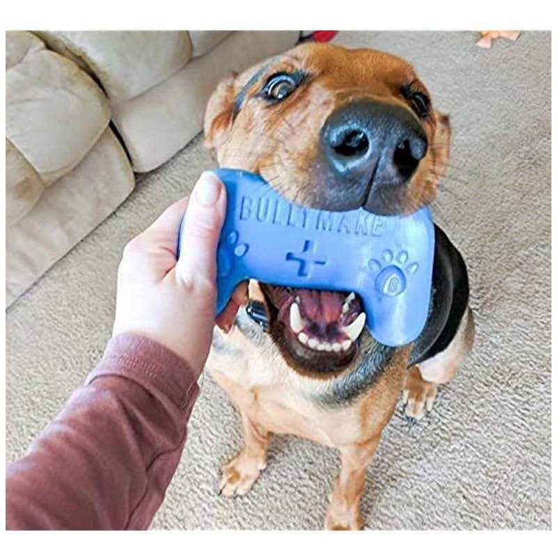 Controller Dog Toy N675218