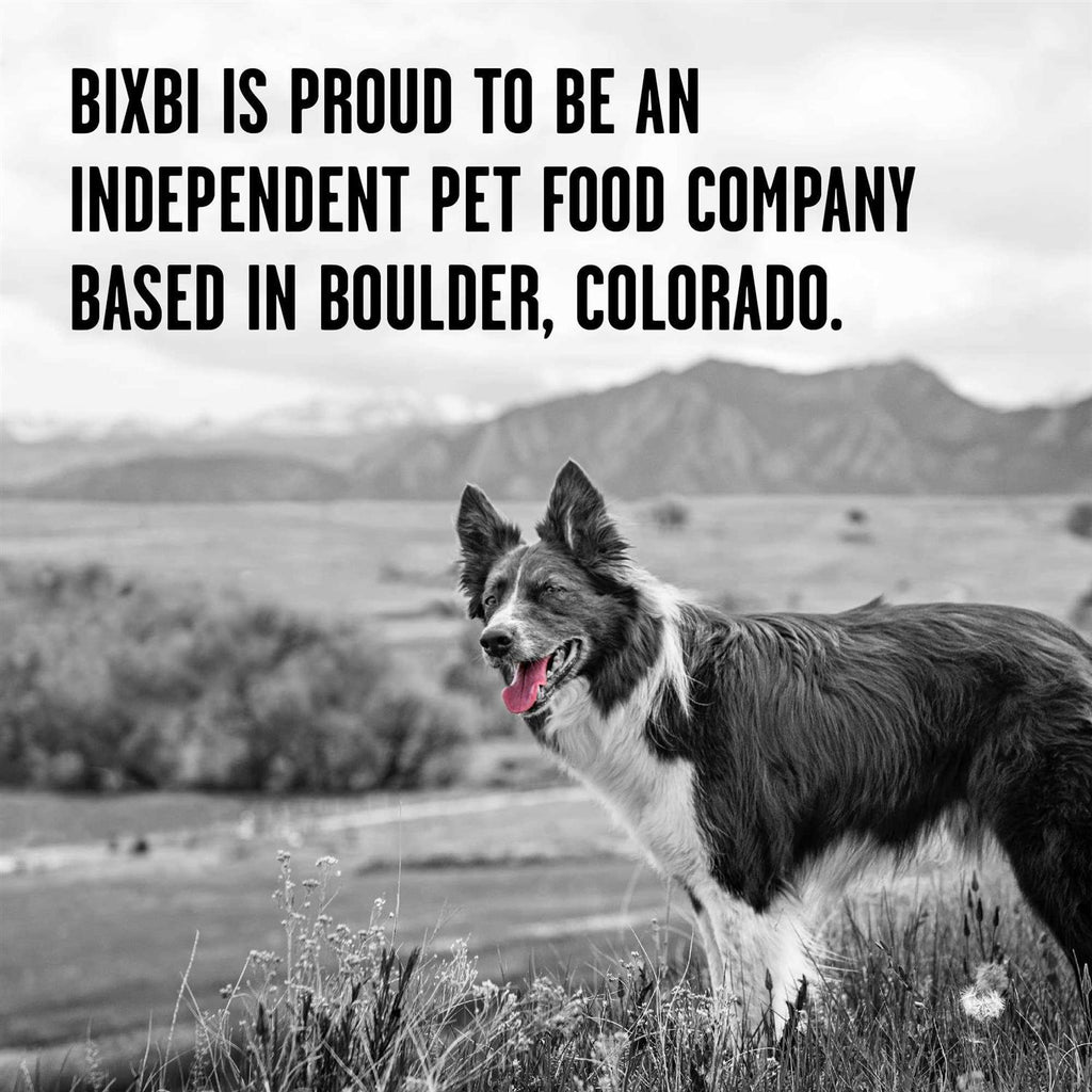 Chicken Recipe Dry Dog Food J286515