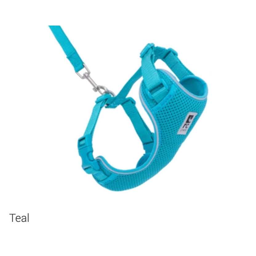 Cat Harness W984025