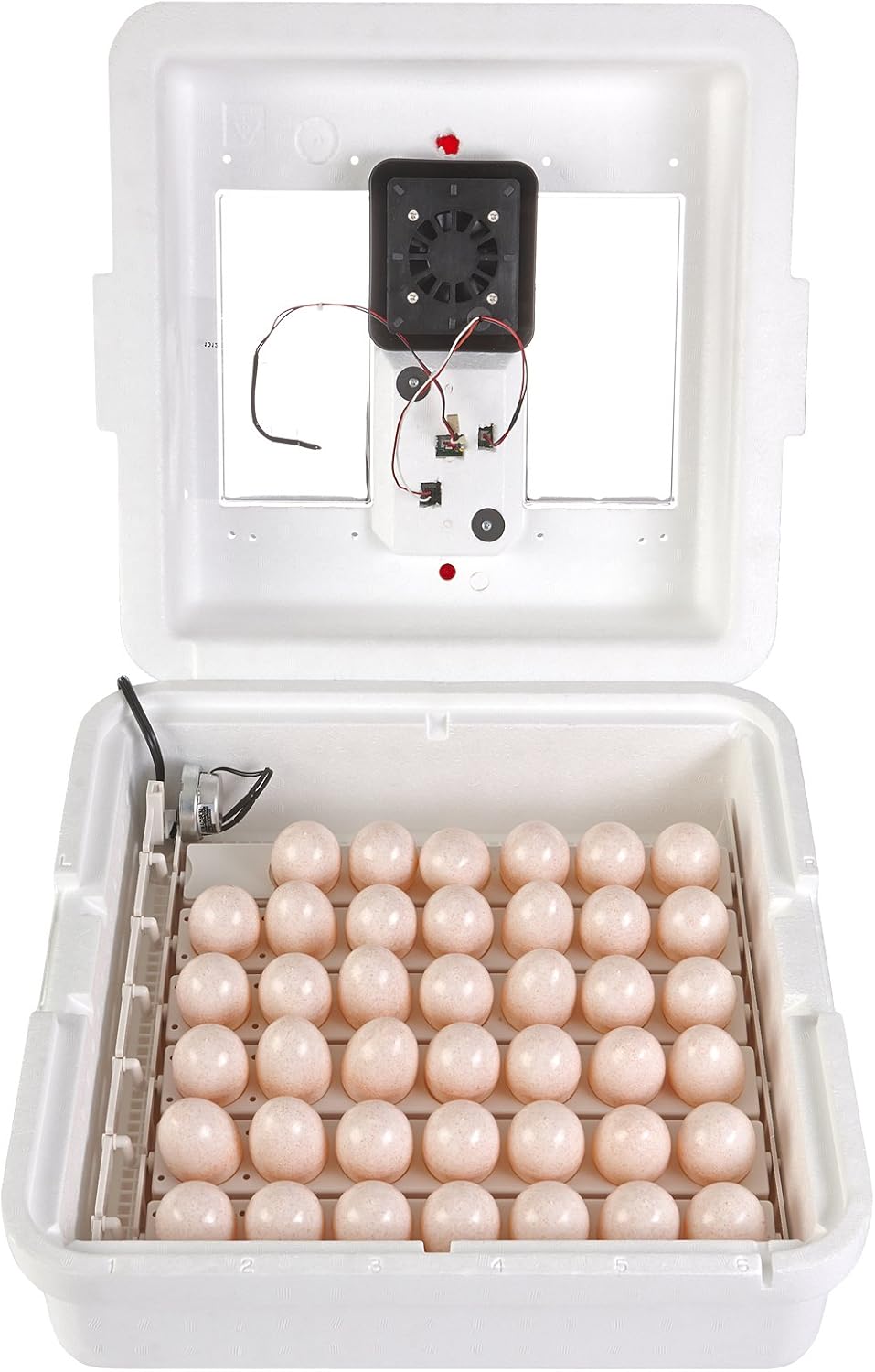 41 Egg Incubator with Fan and Temperature and Humidity Control X55274