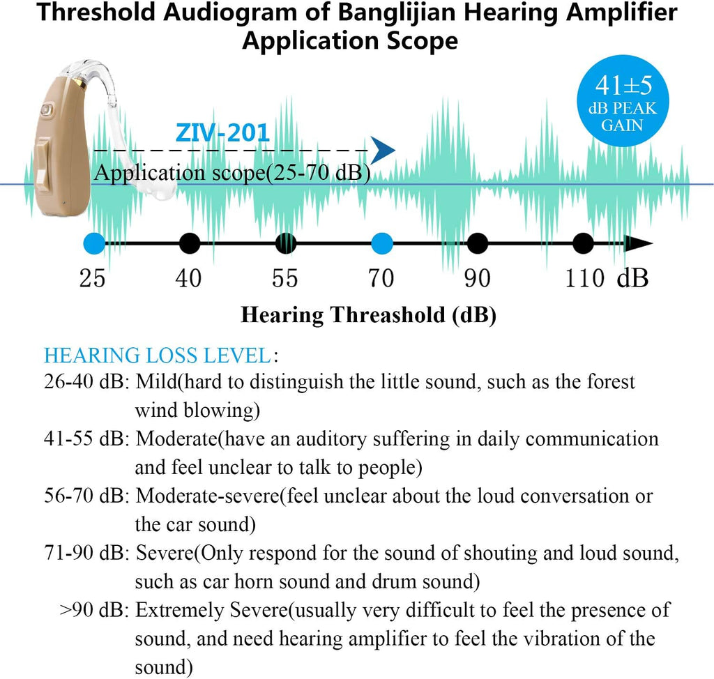 Small Size Rechargeable Digital Hearing Aid C4842