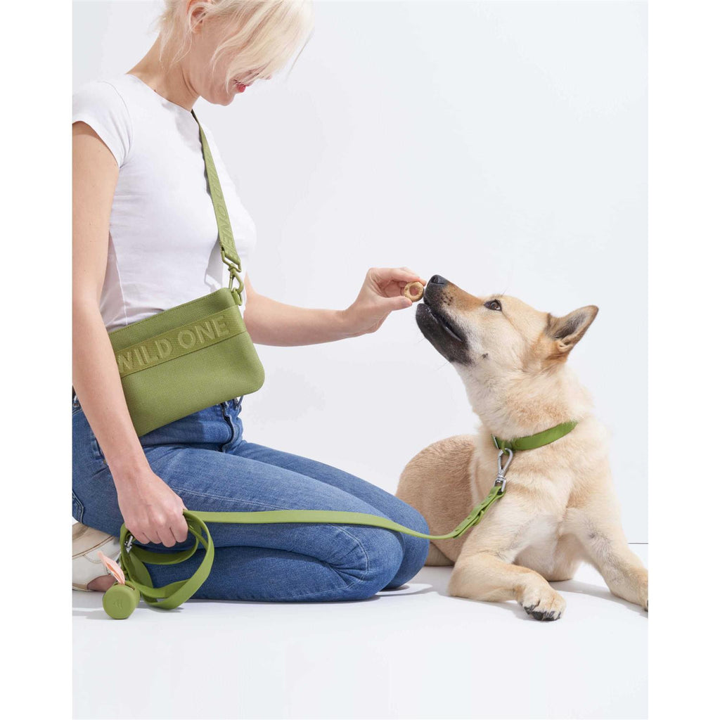 Poop Bag Carrier B2626