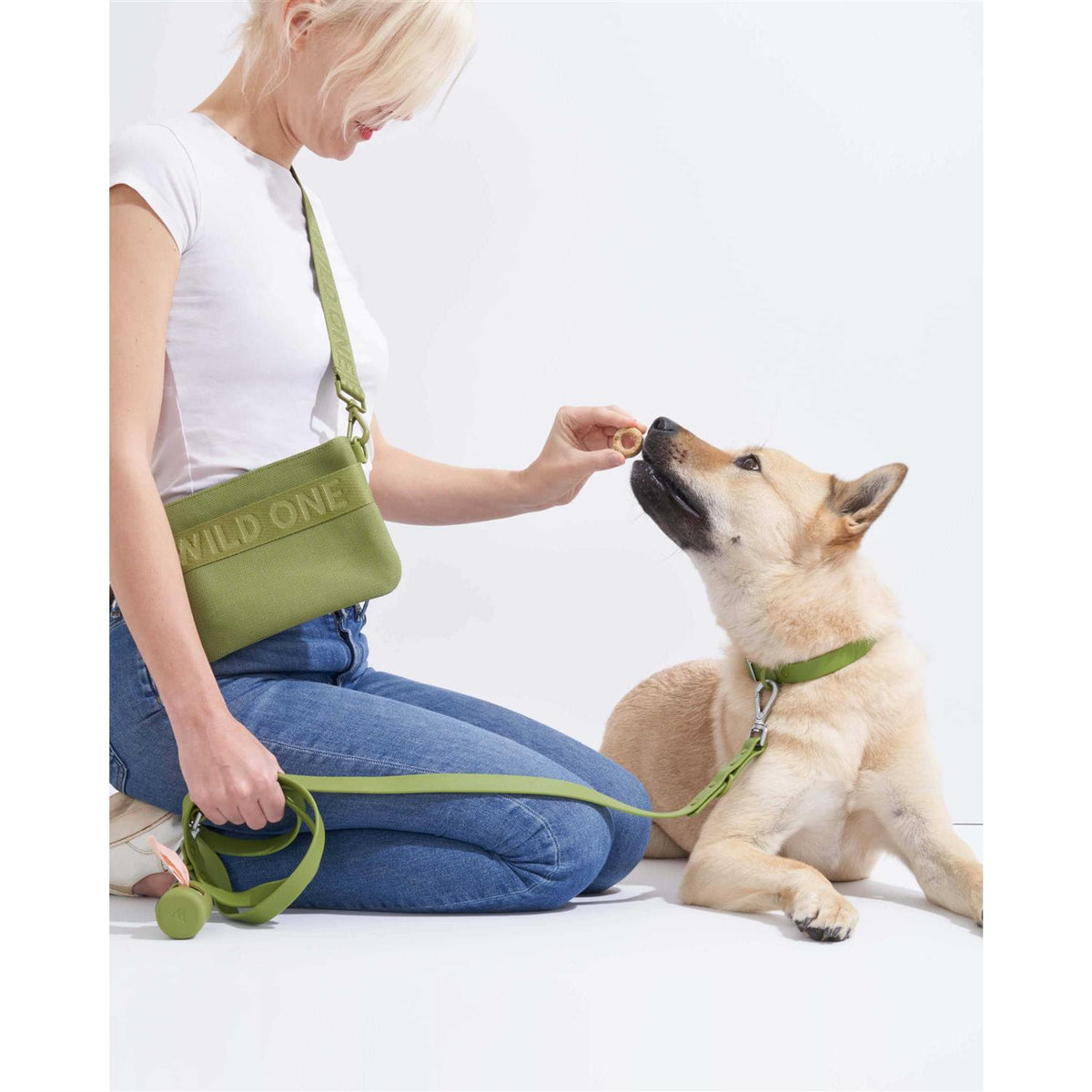 Poop Bag Carrier B2626