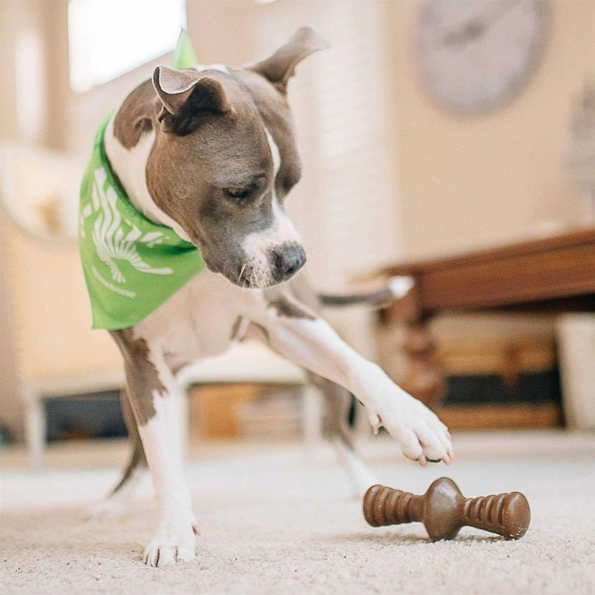 Chicken Dog Chew Toy L9980