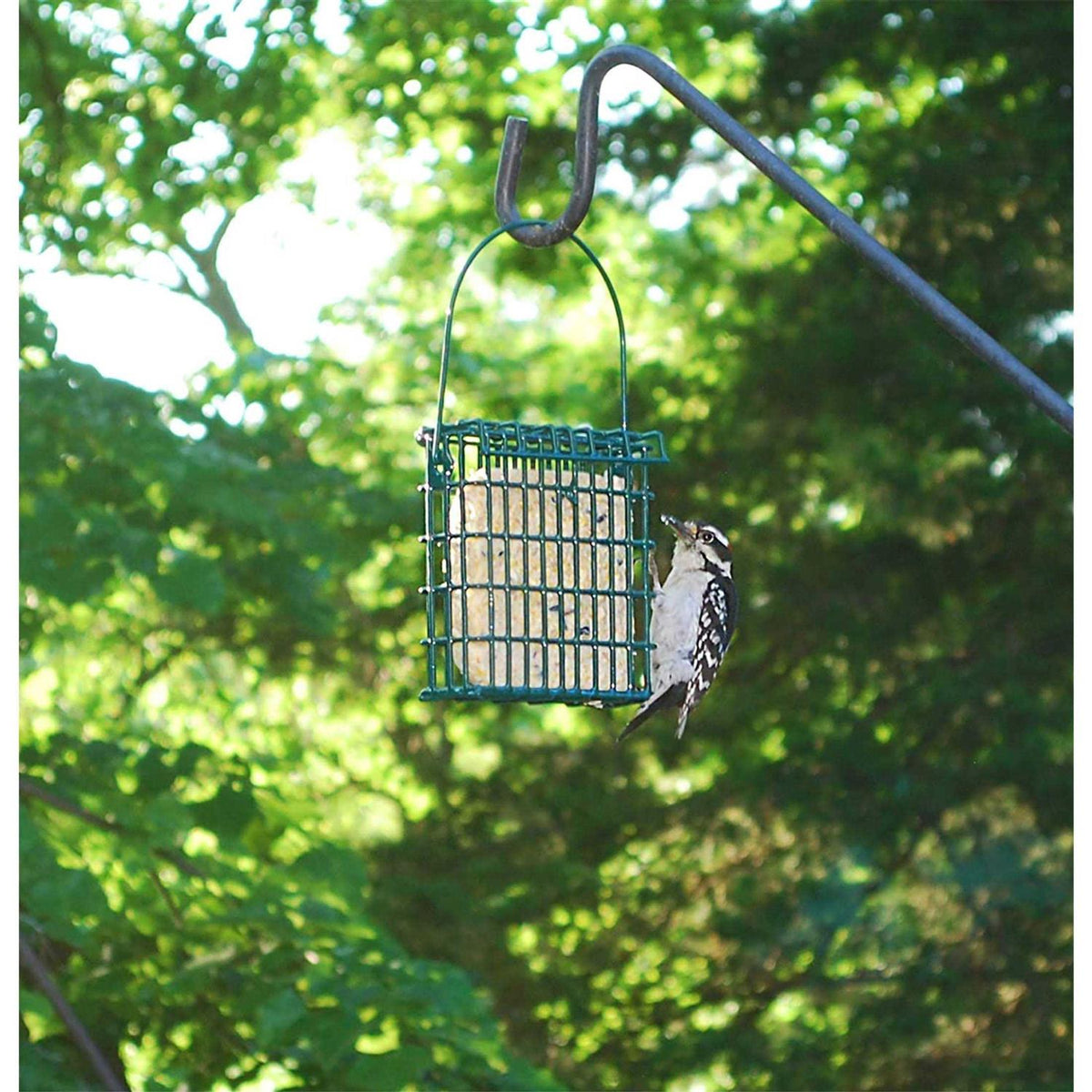 6 Pack Pet Supplies I17872