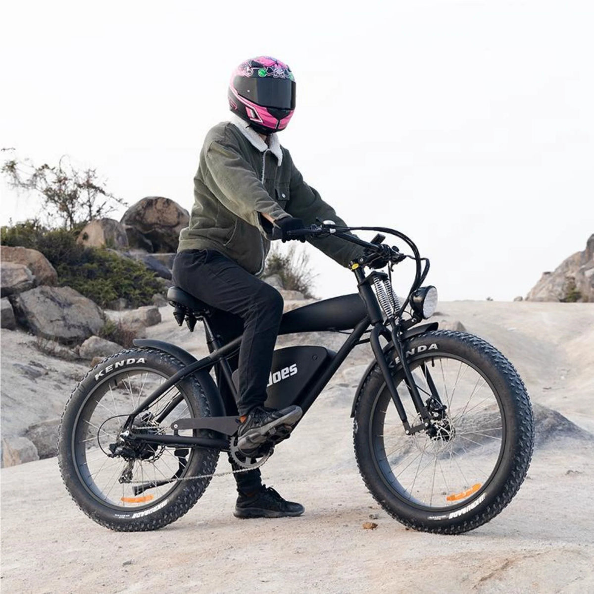 1200W Electric Mountain Bike with 26" Fat Tire F793