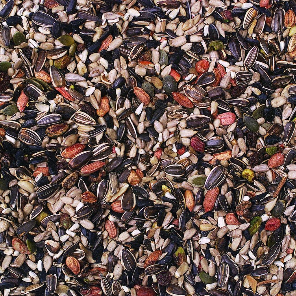 Wild Bird Food, 20 lb H768