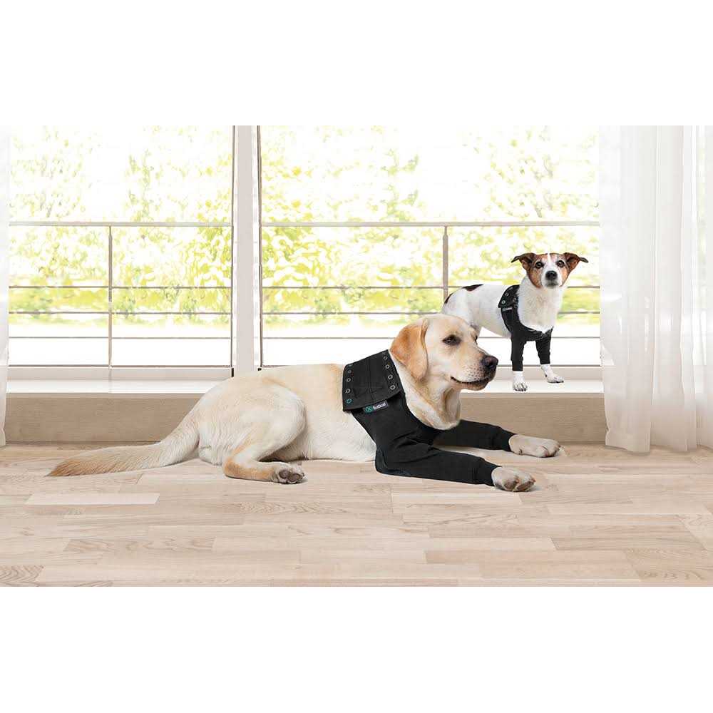 Dog Recovery Sleeves Q38468
