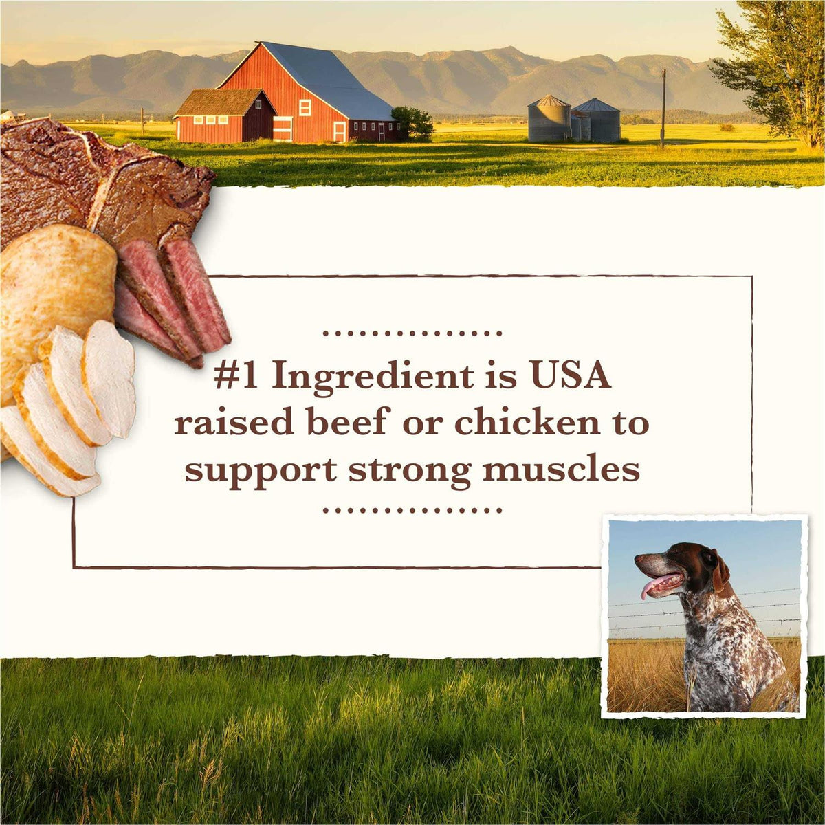 Grain Free Wet Dog Food Chicken Turkey F953038