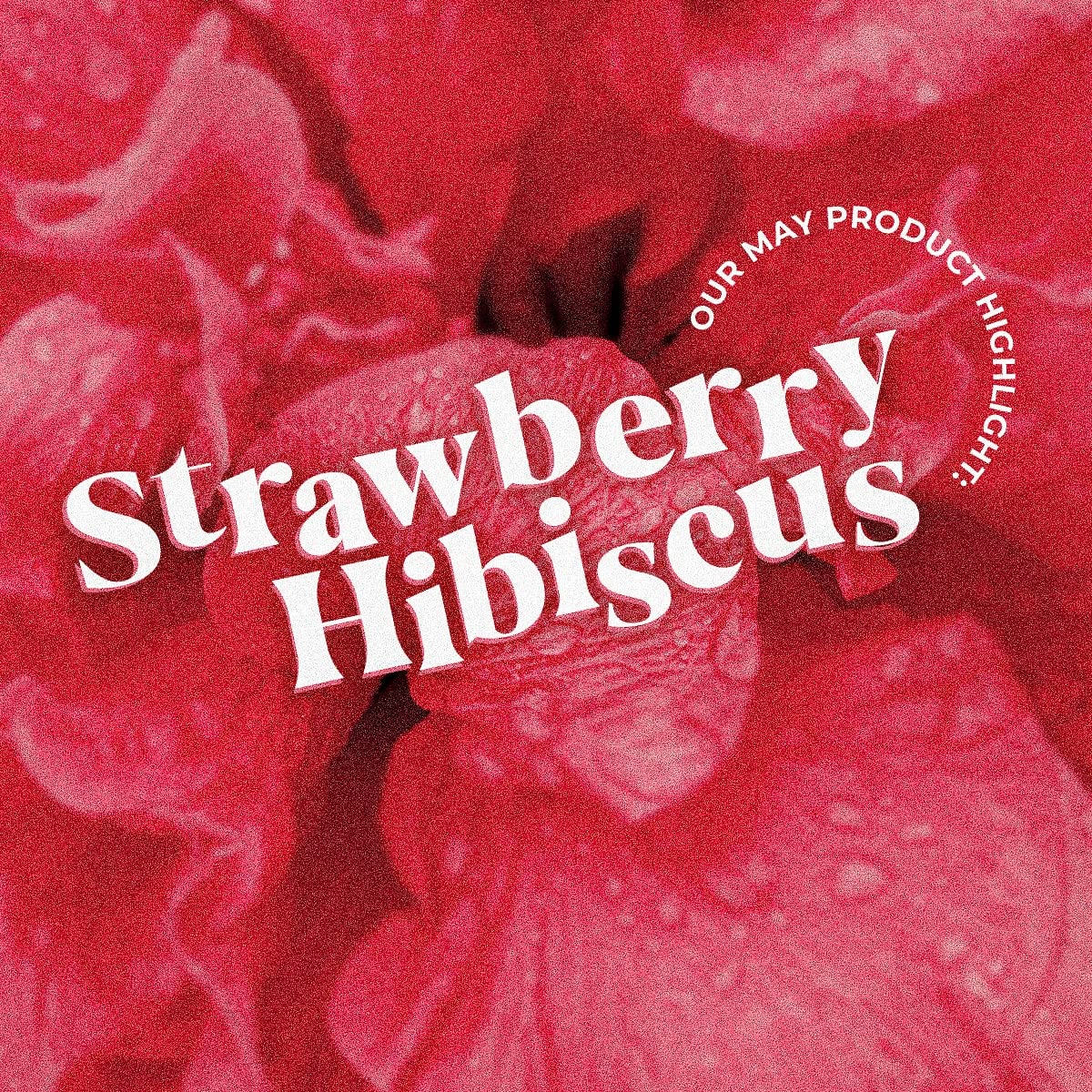 32Oz Beverage Infusions (Strawberry Hibiscus, 6 Aseptic Cartons) H518429