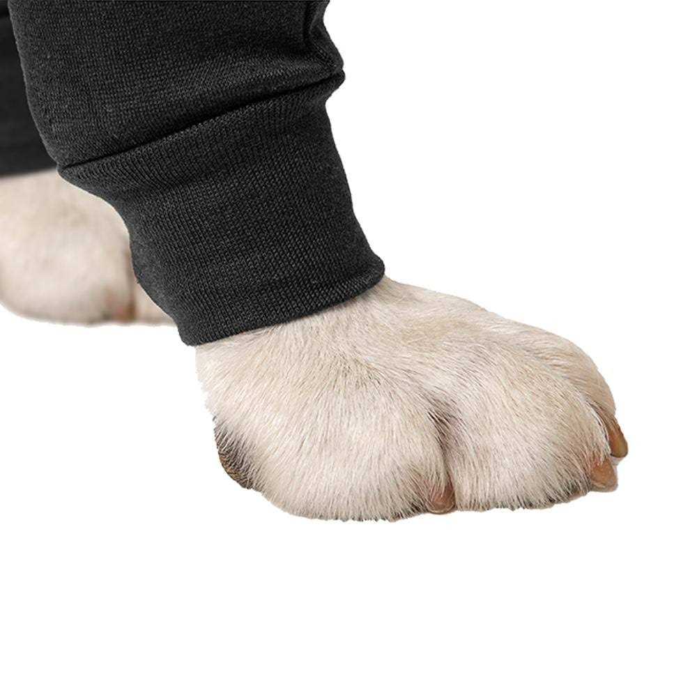 Dog Recovery Sleeves Q38468