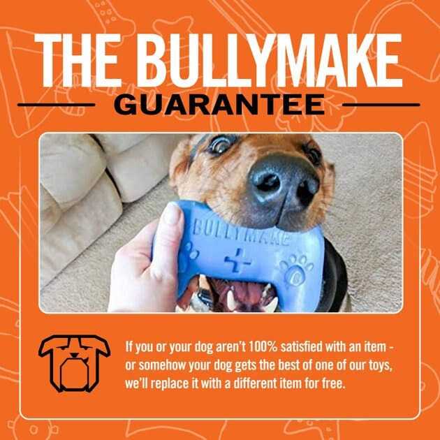 Controller Dog Toy N675218