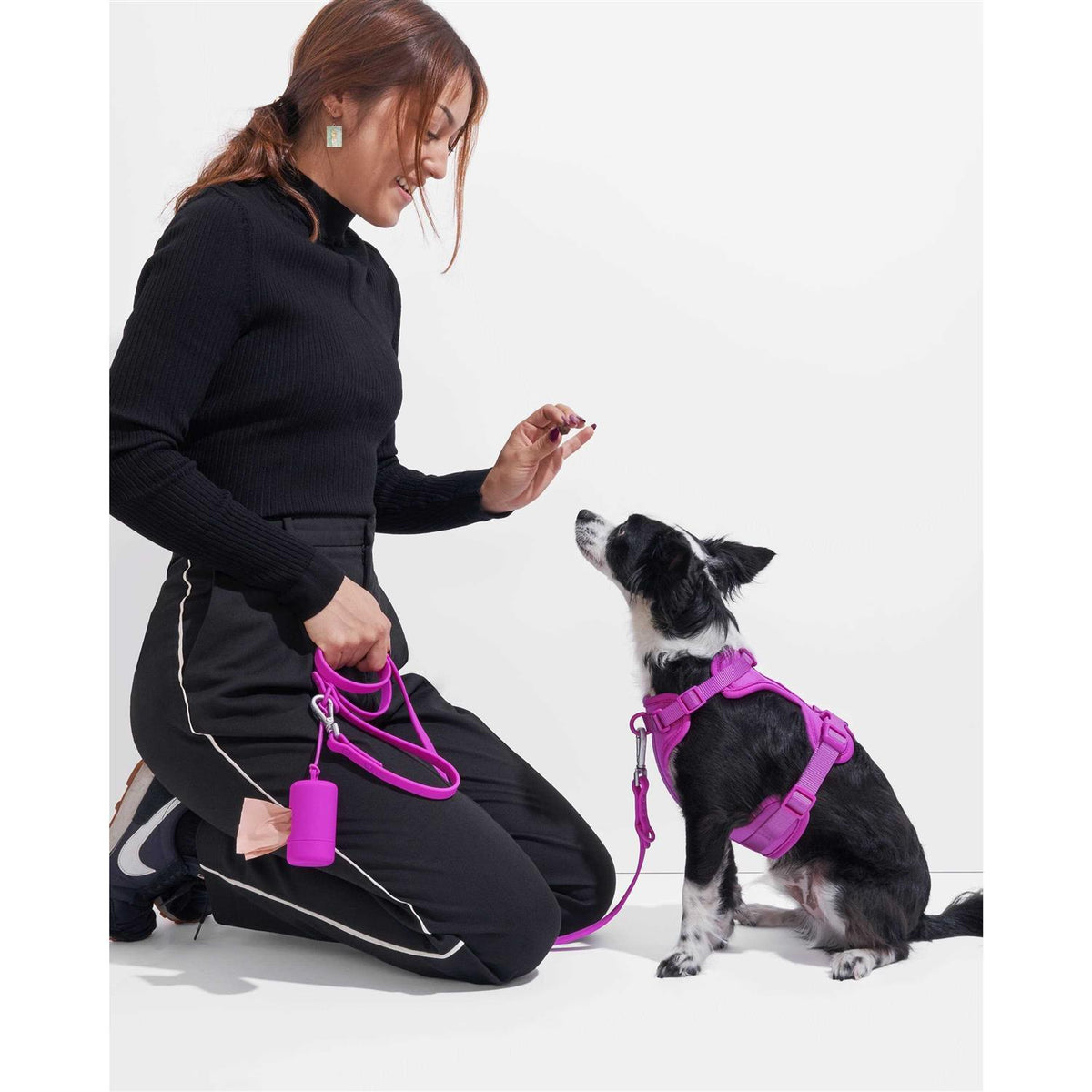 Poop Bag Carrier B2626