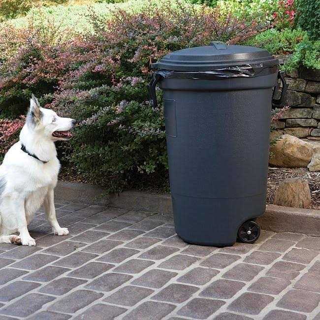 Outdoor Pet Barrier P80975