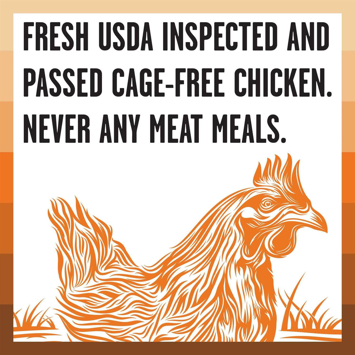 Chicken Recipe Dry Dog Food J286515