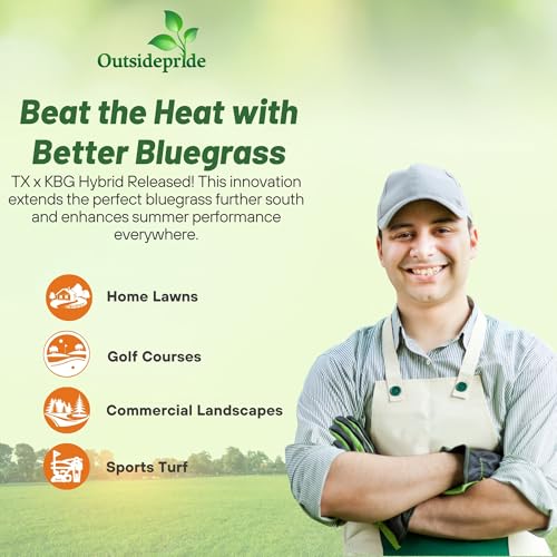 5 lb. Hybrid Bluegrass Lawn Grass Seed P79897