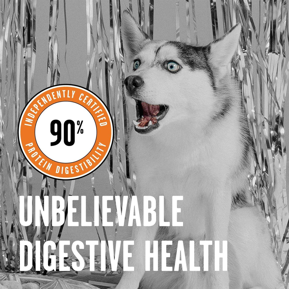 Chicken Recipe Dry Dog Food J286515