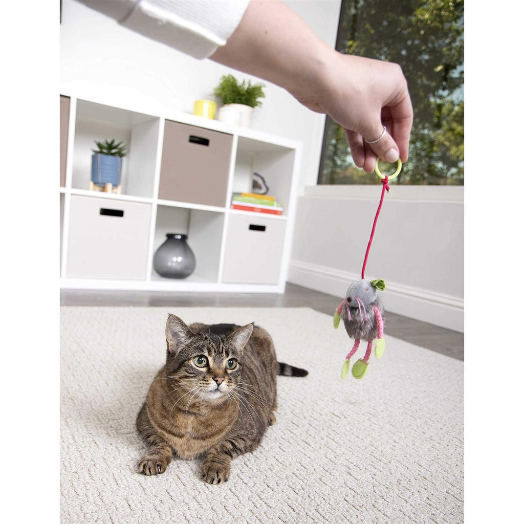 Cat Toy V762616