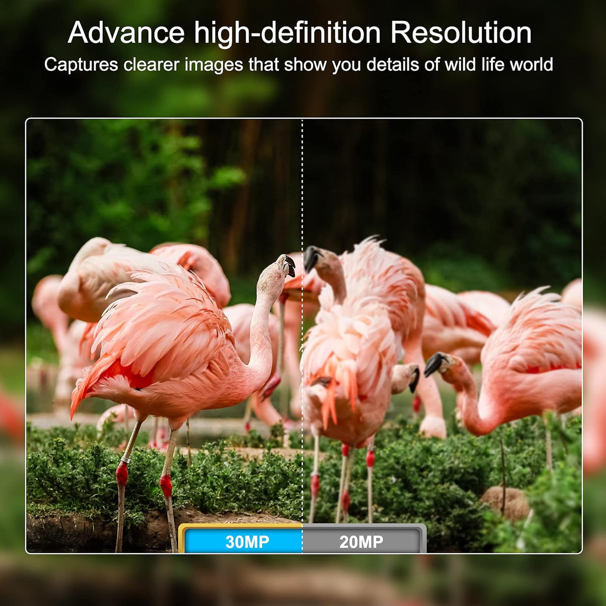4K 30MP WiFi Bluetooth Trail Camera with Night Vision Motion Activated Waterproof E6005