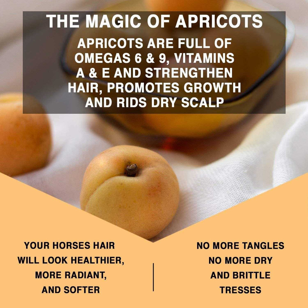 Apricot Oil Leave-In Conditioner Z66151