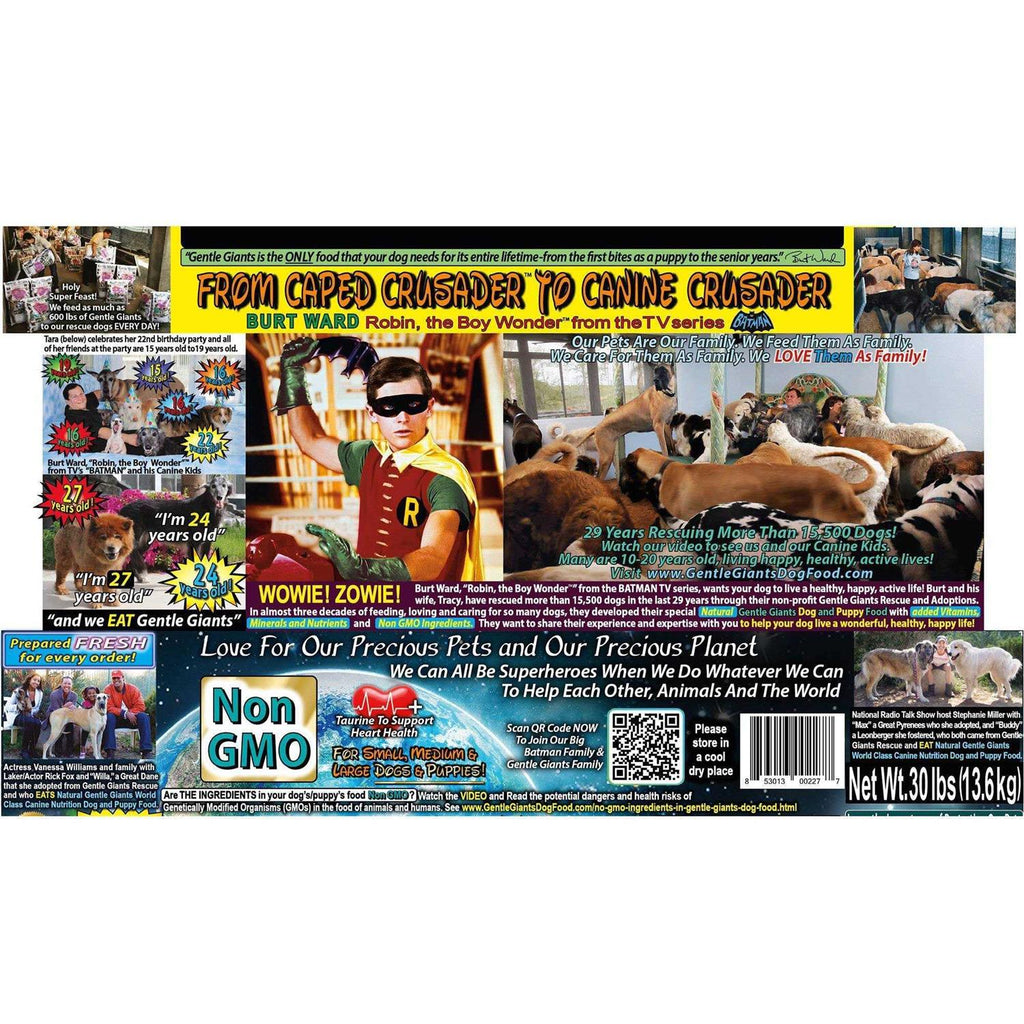 Chicken Dry Dog Food W615401