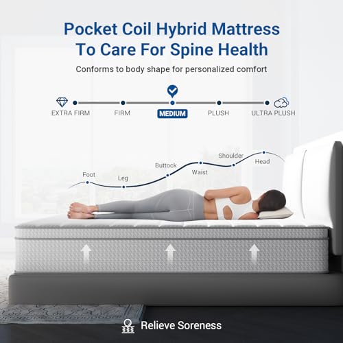 10 Inch Queen Hybrid Mattress with Memory Foam H653