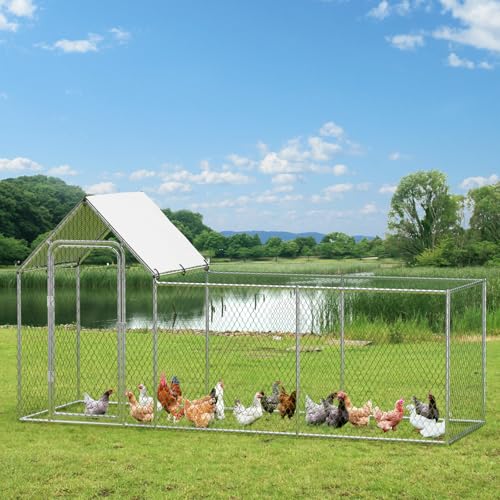 Large Metal Chicken Coop with Waterproof and Anti-UV Cover, 10' W x 3.3' D x 5' H D75253