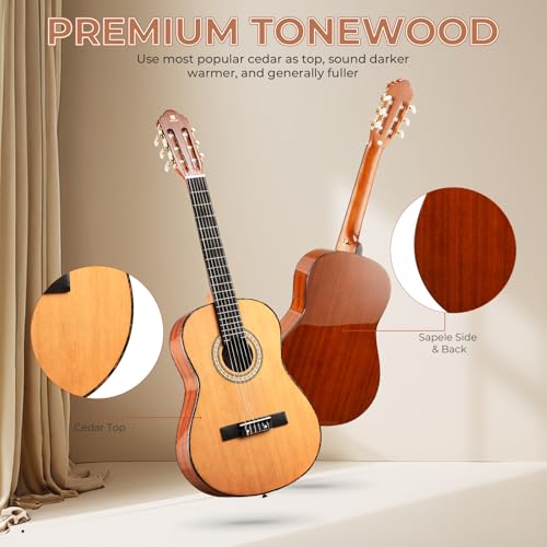 Full Size 39 Inch Nylon Strings Classical Guitar Solid Cedar Top X53484