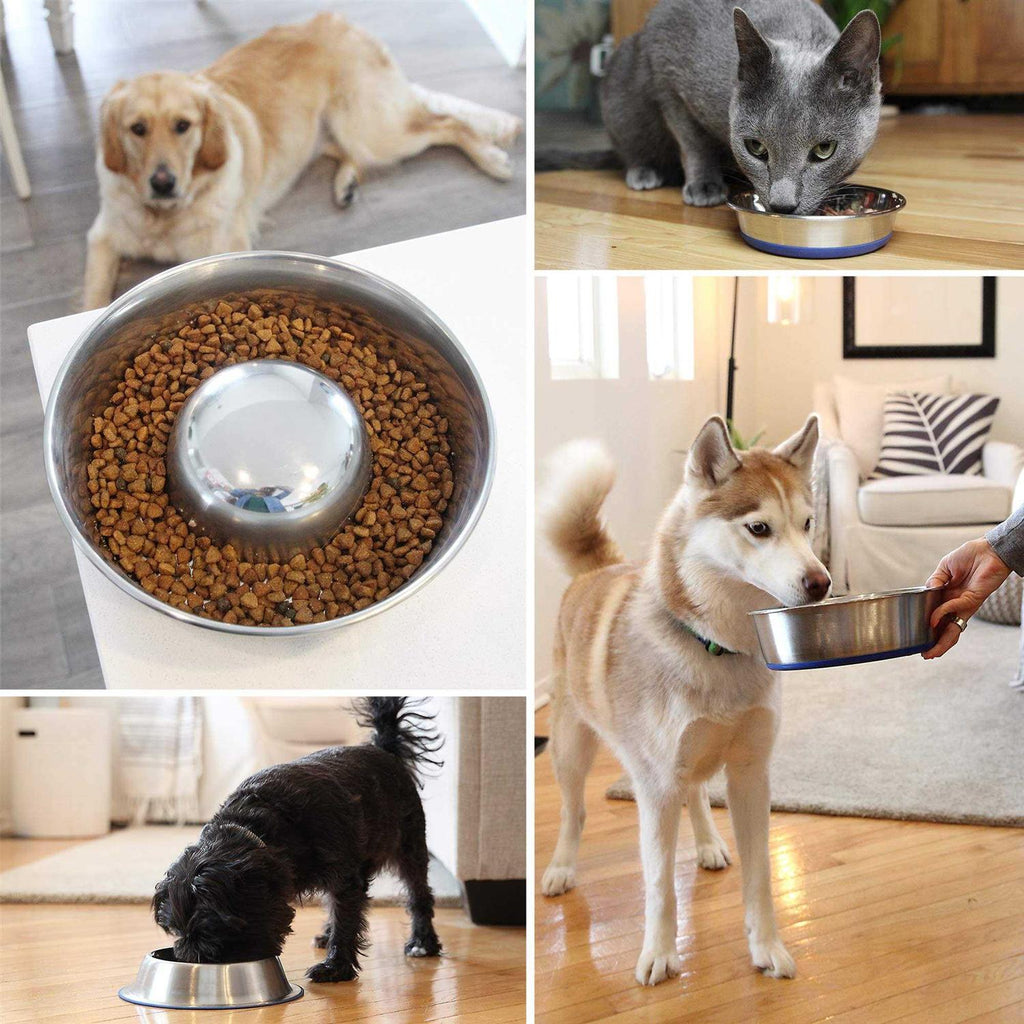 Cat Bowl F704