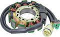 Stator Coil Pack of 2 C4856