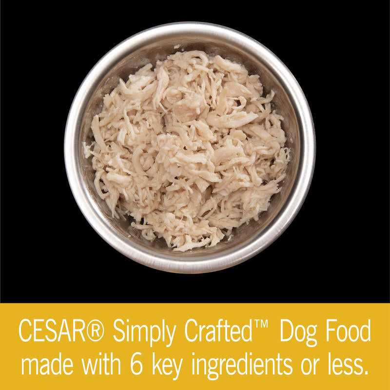 Chicken Wet Dog Food X86040
