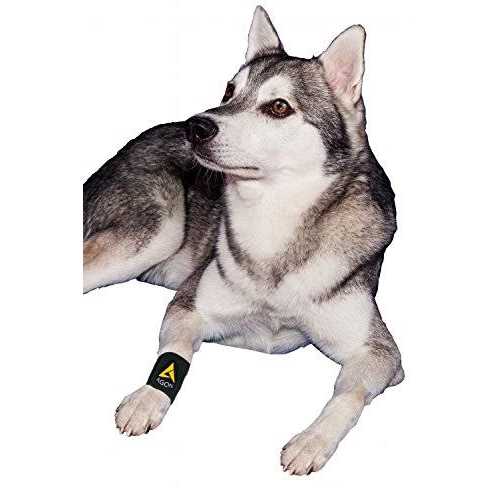 Dog Front Leg Brace Paw Compression Wraps Y73533