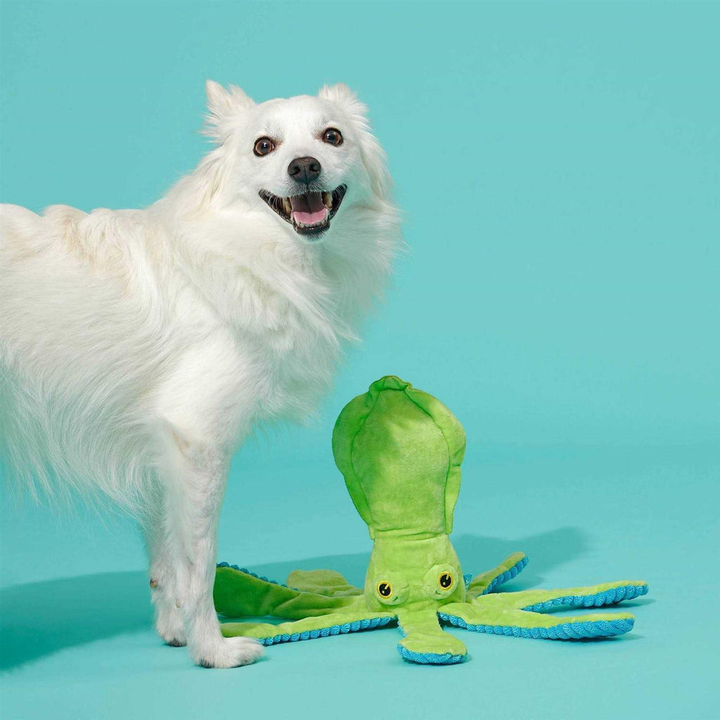 Dog Toy G9497