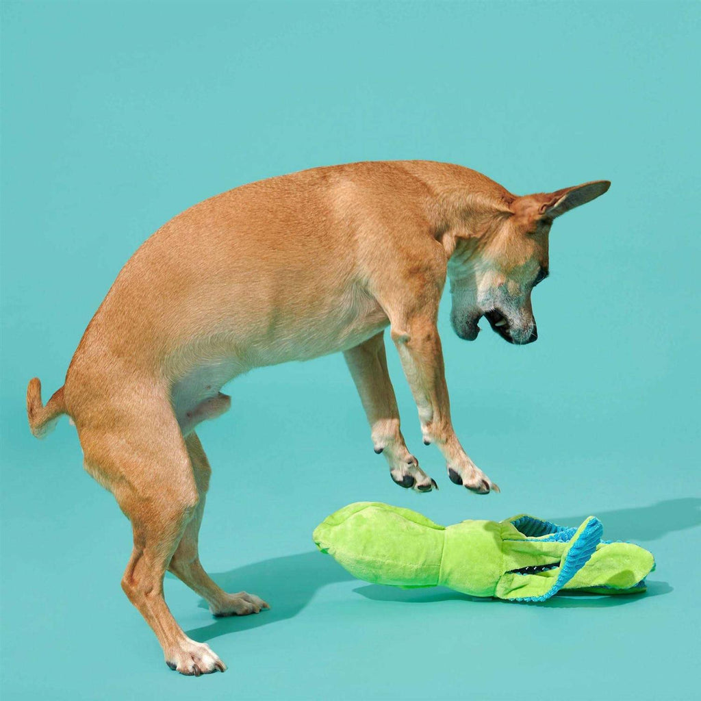 Dog Toy G9497
