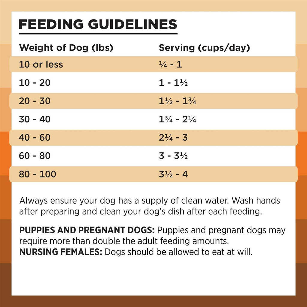 Chicken Recipe Dry Dog Food J286515