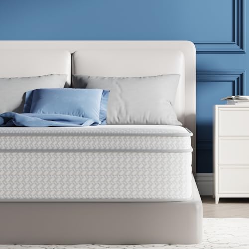 10 Inch Queen Hybrid Mattress with Memory Foam H653