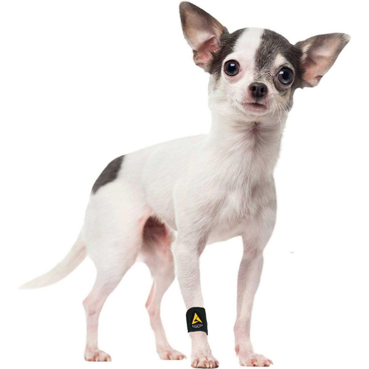 Dog Front Leg Brace Paw Compression Wraps Y73533