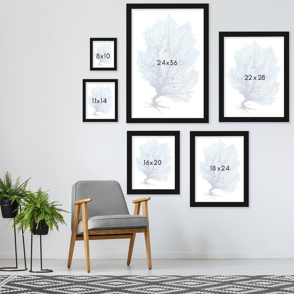 Blue Fan Coral Black Frame M580754