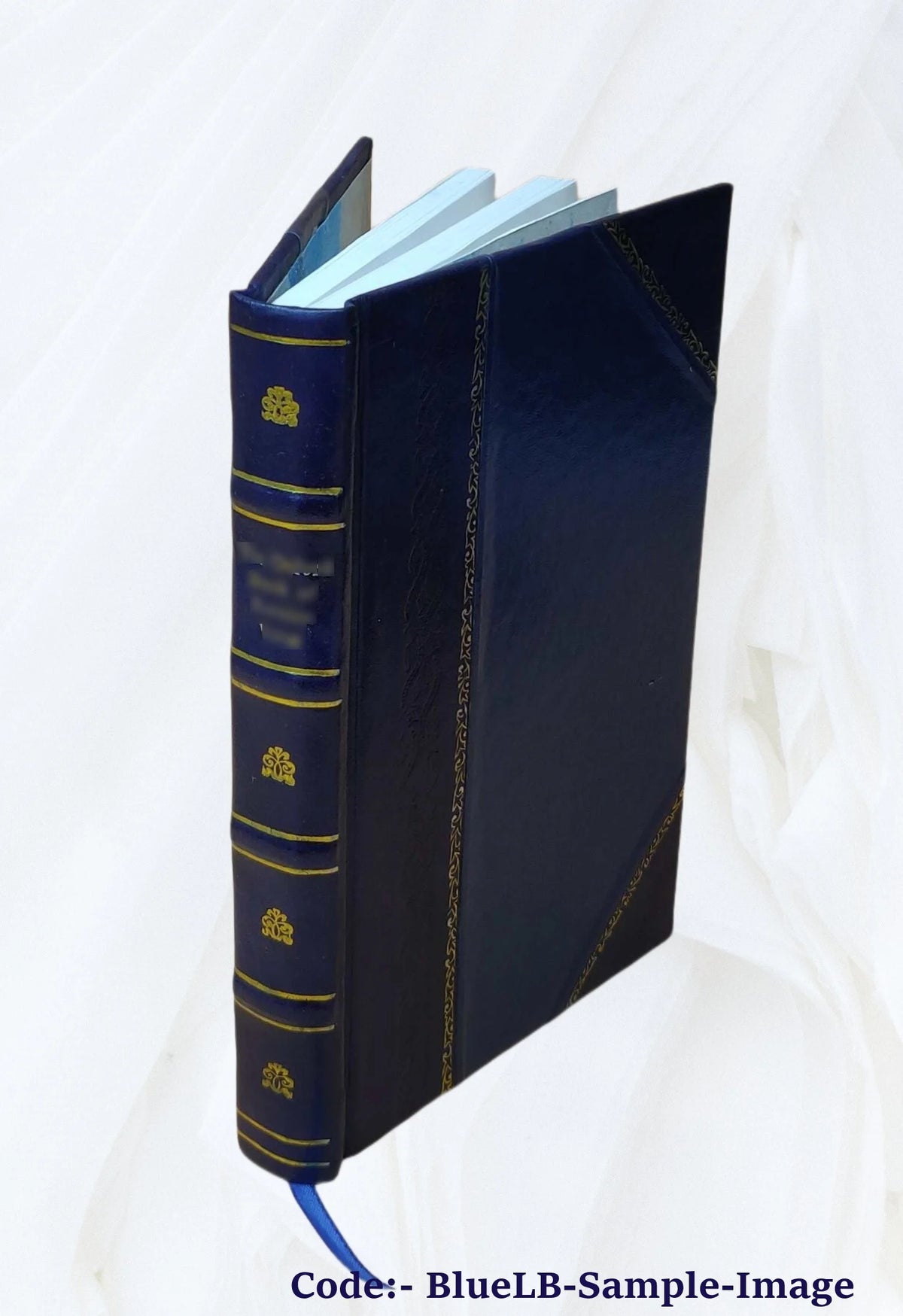 Leather Bound Book P862