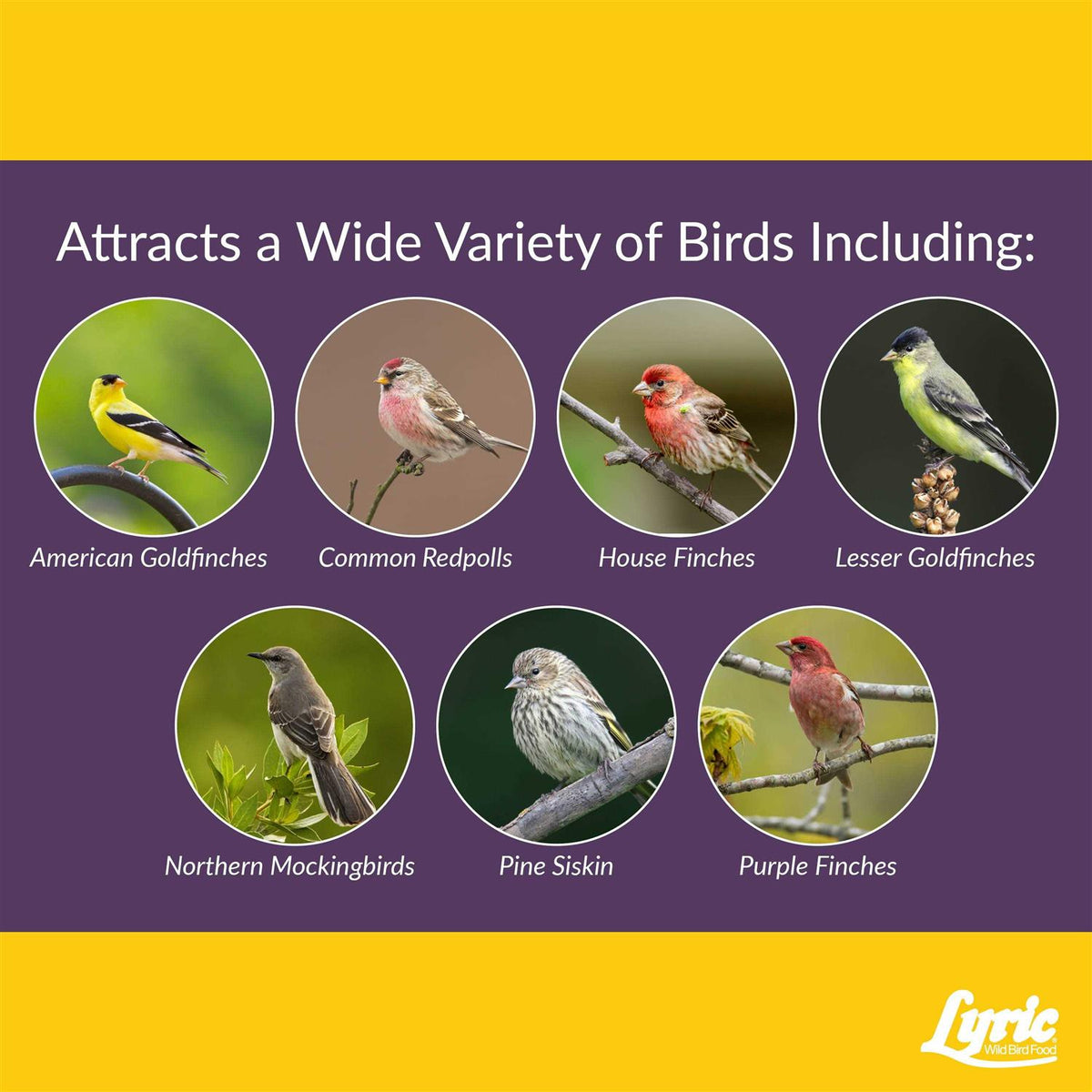 Small Songbird Wild Bird Food H395055